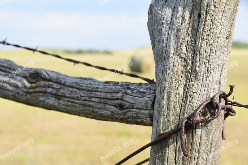 Fence Post Landscape Wood Field