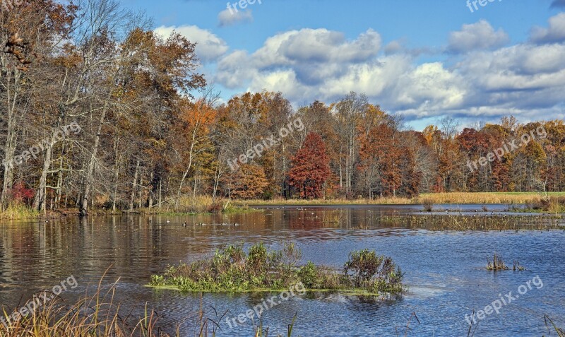 Great Swamp Wildlife Refuge Water Bird