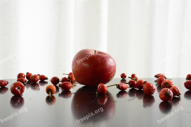 Still Life Autumn Apple Red Rose Hips