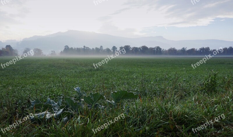 Morning Field Fog Muenchen Stone Kohl