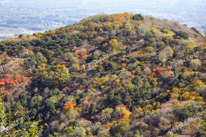 Autumn Beijing Fragrant Hill Park Hill