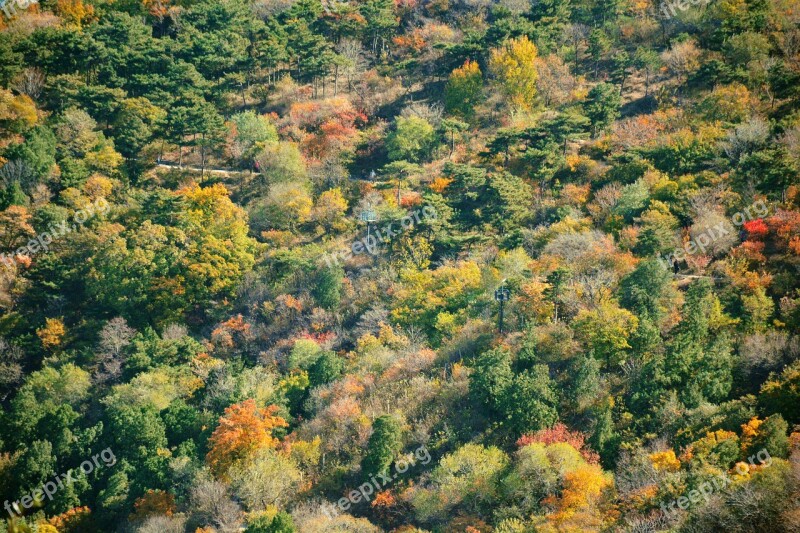 Autumn Beijing Fragrant Hill Park Hill