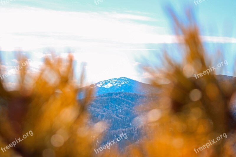 Mountain Snow Clouds Sky Needles