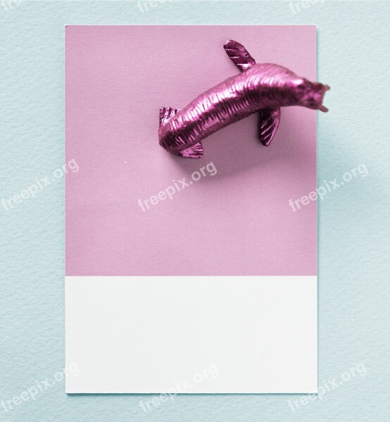 Abstract Animal Background Card Colorful