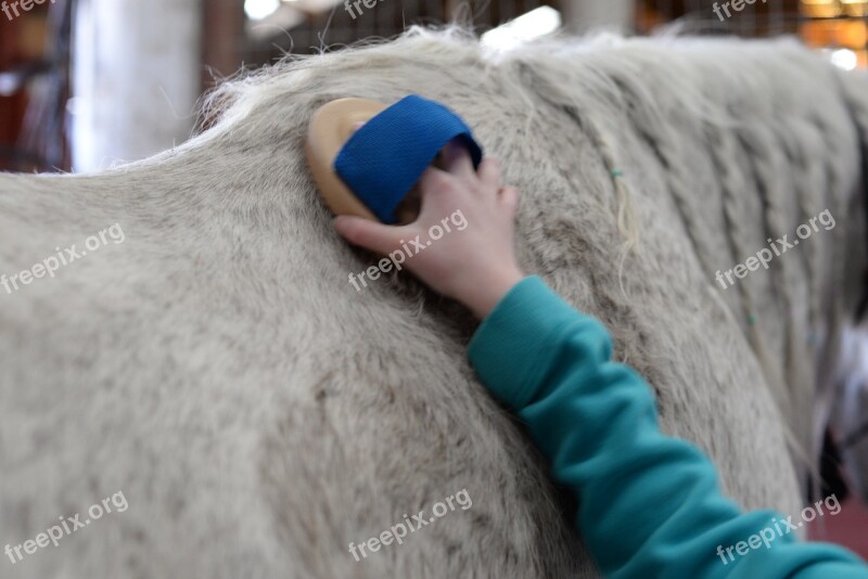 Stables Horse Farm Barn Free Photos