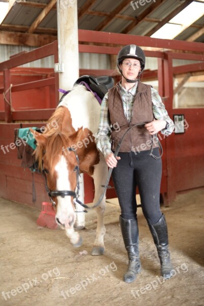 Stables Horse Farm Barn Free Photos