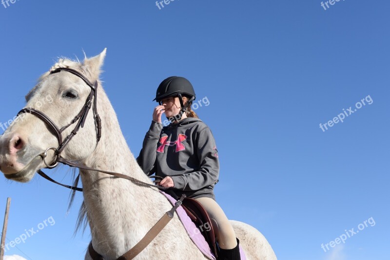 Stables Horse Farm Barn Free Photos