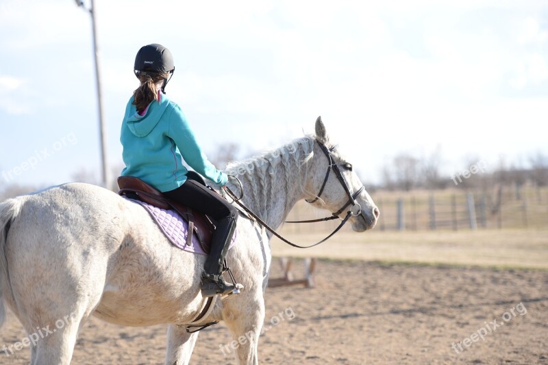 Stables Horse Farm Barn Free Photos