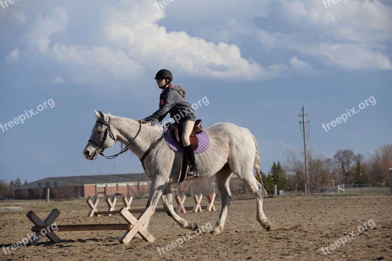 Stables Horse Farm Barn Free Photos