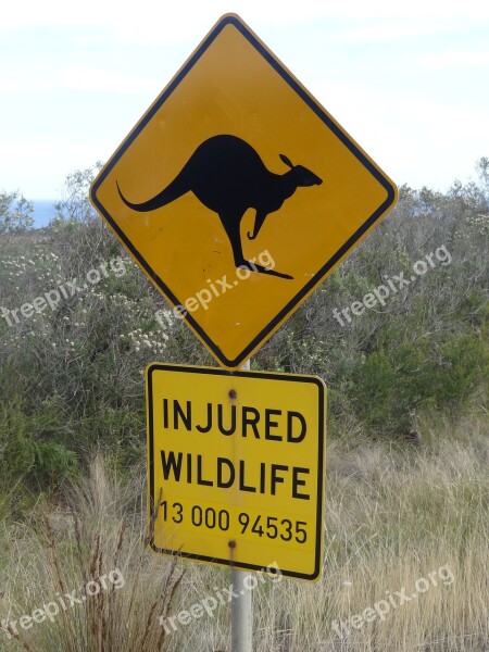 Australia Shield Kangaroo Warning Free Photos