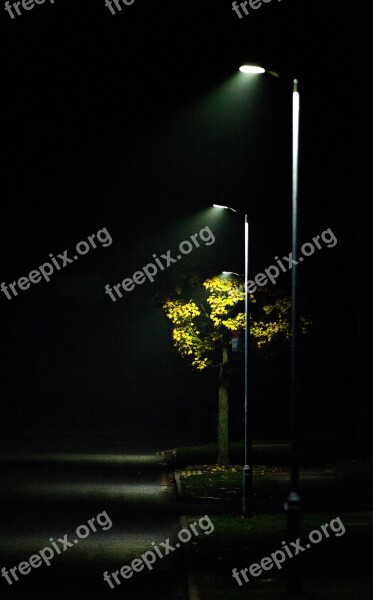 Streetlight Mist Road Light Scene Autumn