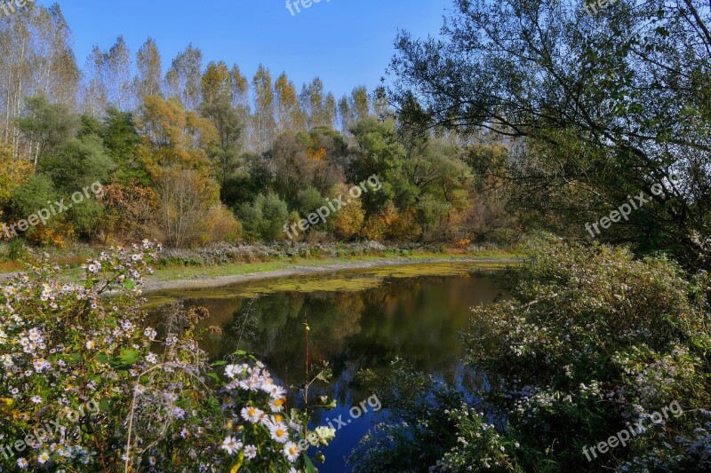 Lake Water Swamp Istragonov Nature