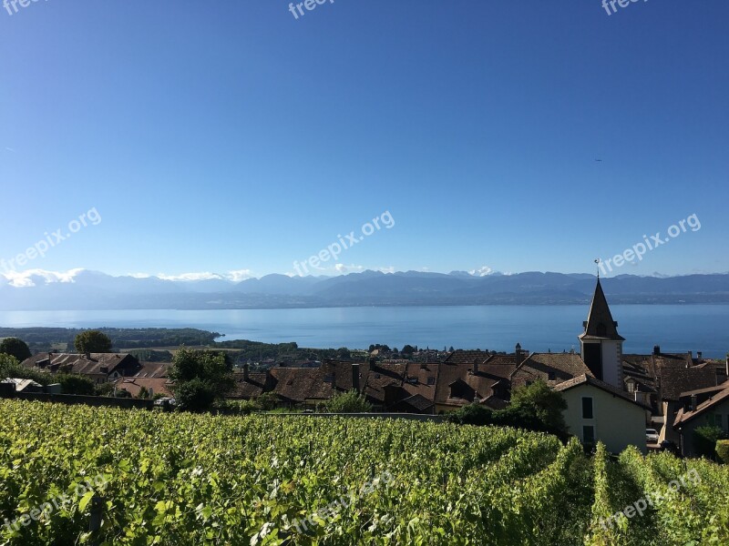 Bougy-villars Vines Lake Geneva Vineyard Landscape