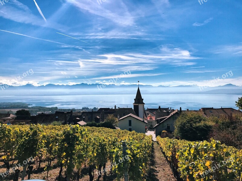 Bougy-villars Vines Lake Geneva Vineyard Landscape