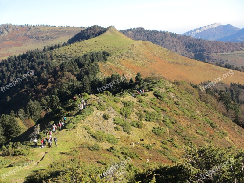 Forest Payolle Pyrenees Mountain Free Photos