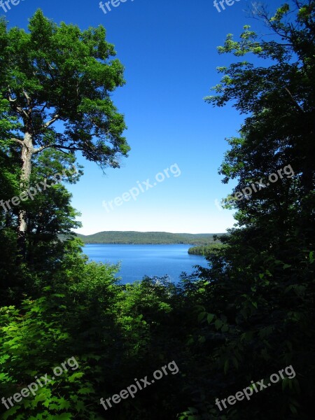 Forest Lake Water Landscape Outdoors