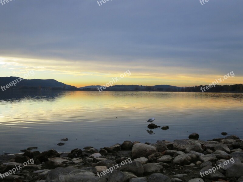 Lake Constance Bank Water Mood Near Shore