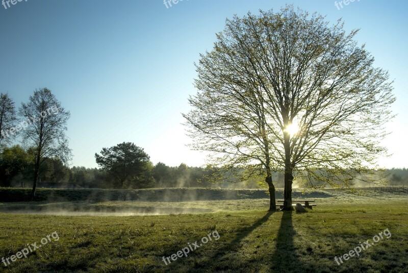 Early Spring Poetry Morning Landscape The Fog