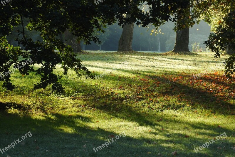 Park Autumn Autumn Park Romantic The Morning Light