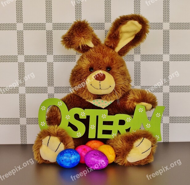 Easter Bunny Soft Toy Toys Easter Happy Easter