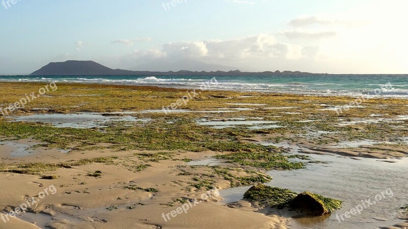 Beach Sand Green Fuerteventura Lanzarote