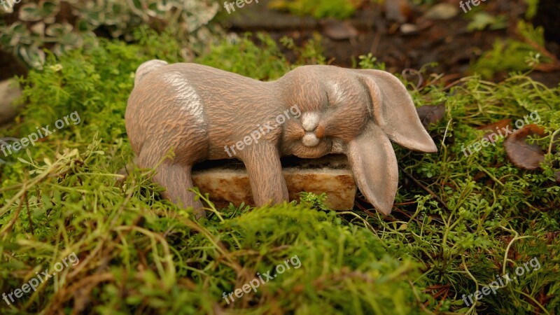 Easter Easter Bunny Easter Bunny Sleeping Easter Figure Figure