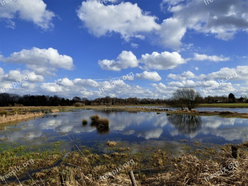 Aue Wet Meadow High Water Flood Mirroring