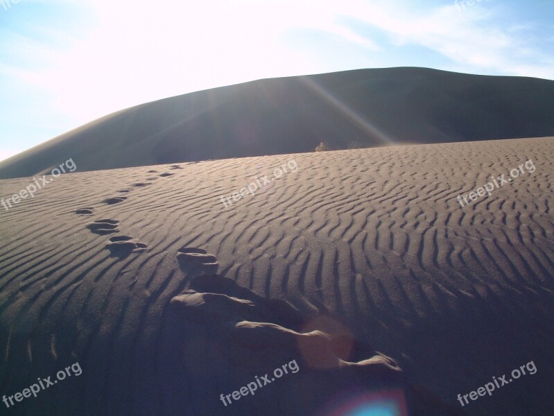 Desert Footprints Sand Dune Journey