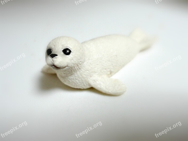 Seal Cub White Seal Wildlife Miniature