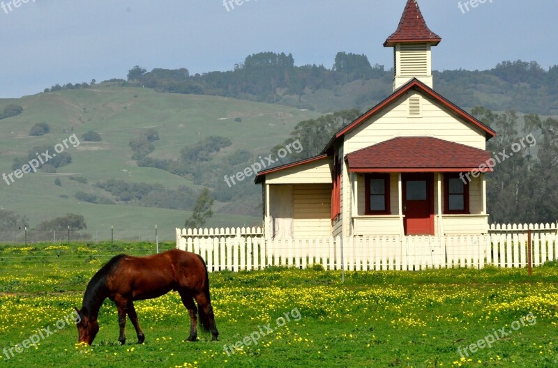 Horse Pastoral Old House Grazing California Hills