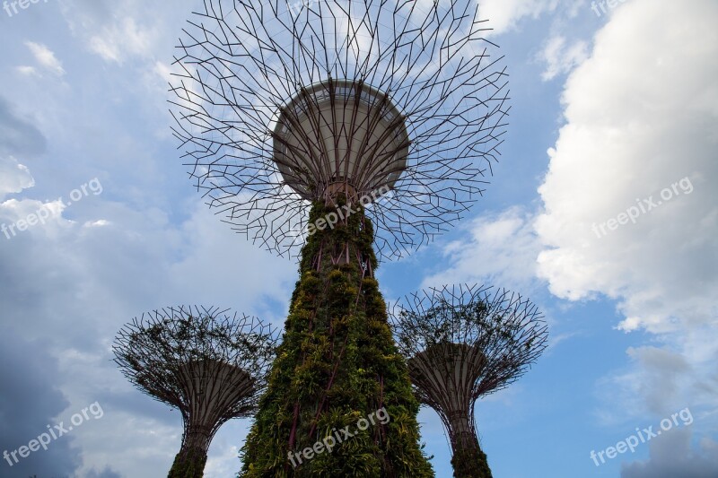 Gbtb Gardenbythebay Green Nature Travel