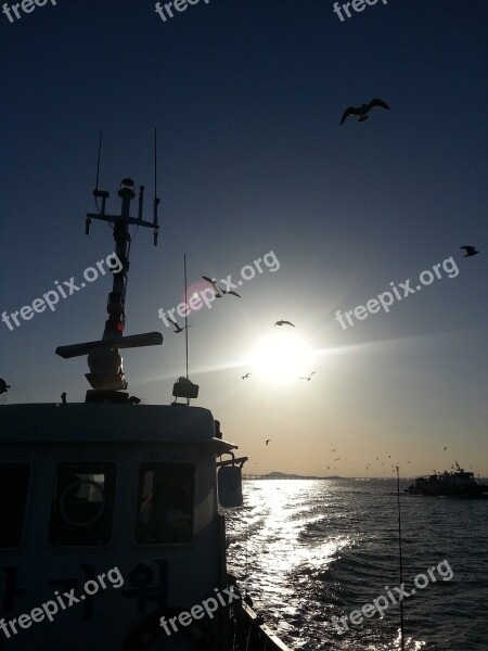 Sea Fishing Boats Fishing Seagull One Of The Enemy Ships