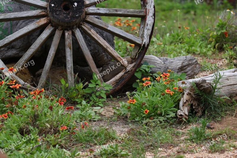 Natural Countryside Breaking San Francisco Flowers And Plants Green