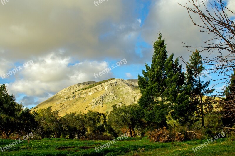 Olive Grove Trees Agriculture Olive Campaign