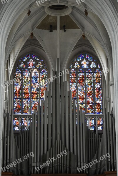 Organ Music Instrument Church Musical Instrument