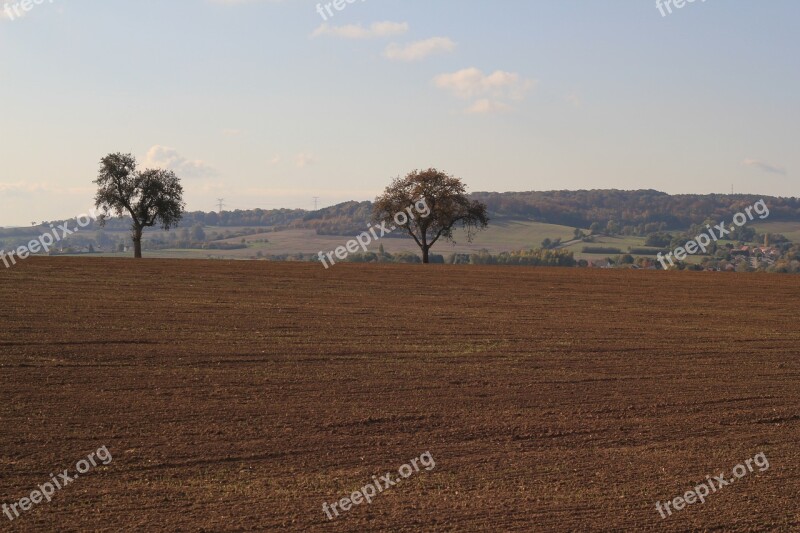 Landscape Fields Harvest Nature Cereals