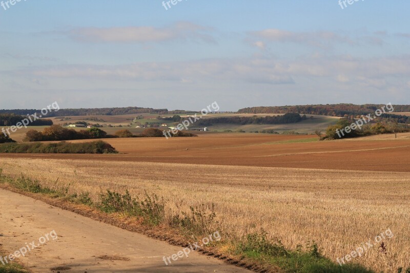 Landscape Fields Harvest Nature Cereals