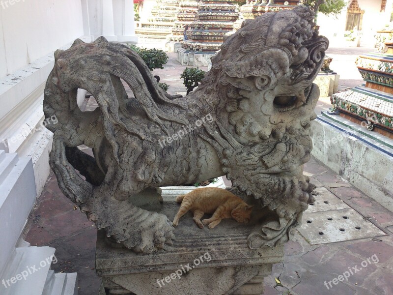 Statue Thailand Temple Stone Cat