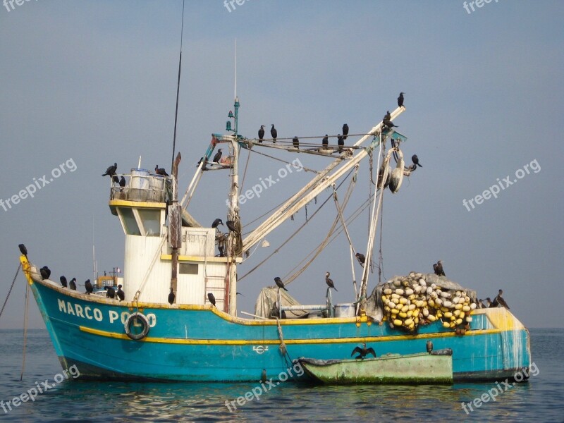 Boat Birds Ecuador Sea Free Photos