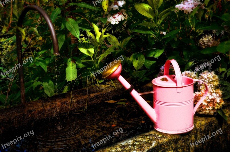 Watering Can Garden Botany Pink Flowers