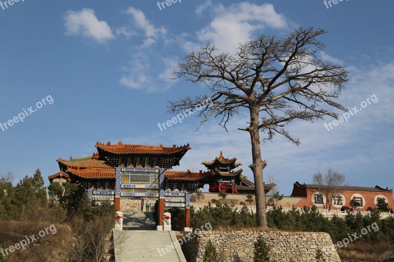 Shanxi Temple Trees Free Photos