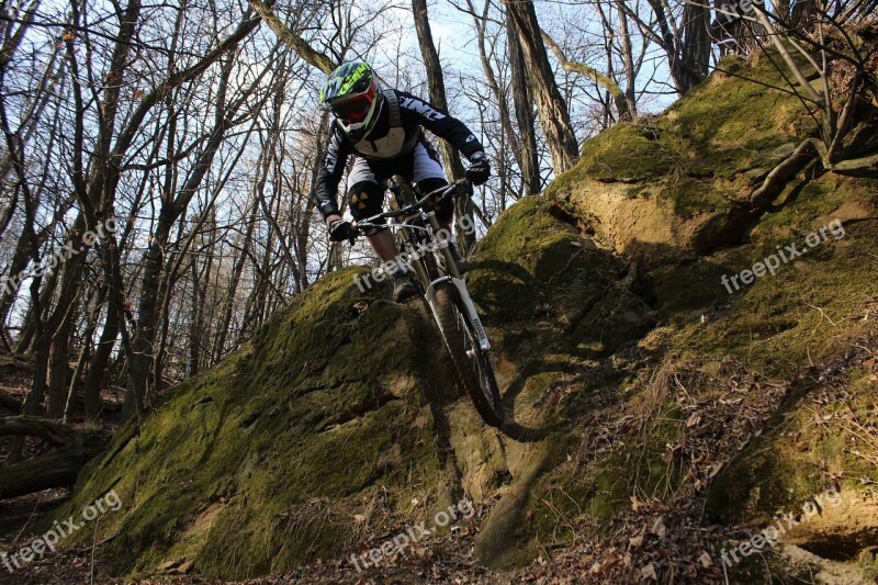 Round Downhill Forest Rock Cyclist