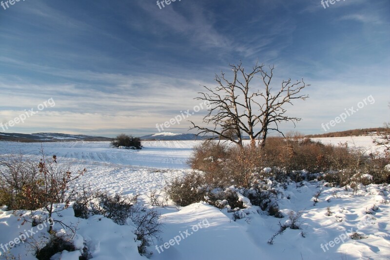 Winter Landscape Snow Nature Tree White