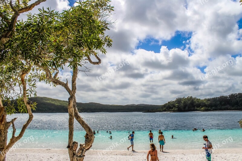 Beach Fraser Island Water Summer Vacation