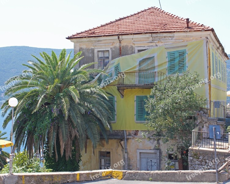 House Palm Tree Tree Montenegro Summer