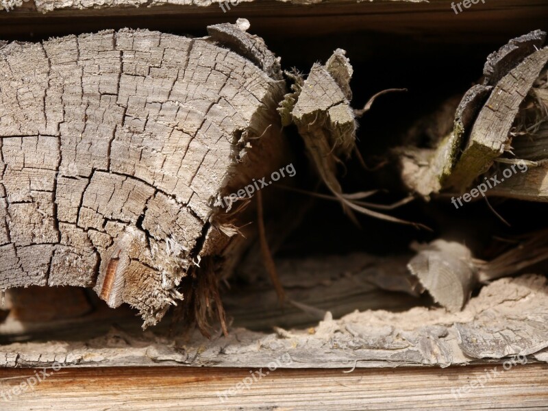 Wood Holzstapel Grain Firewood Stacked Up