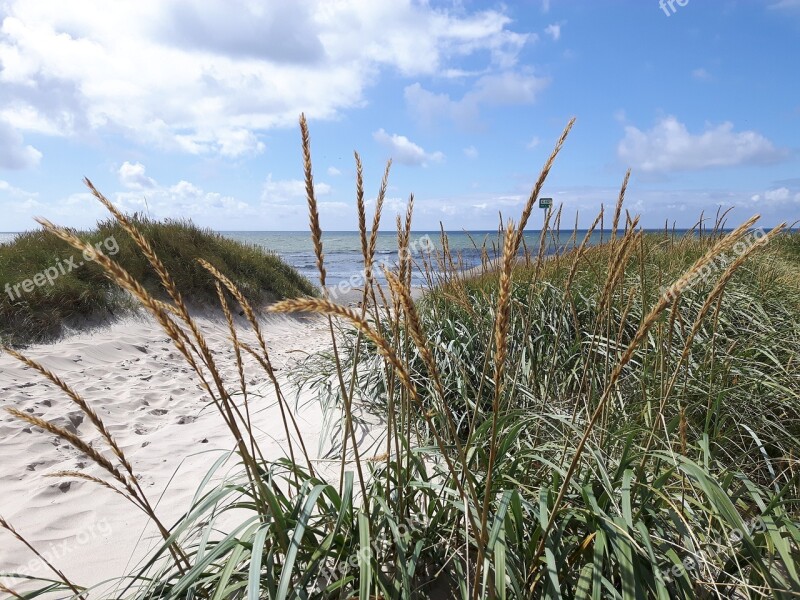 Denmark Beach Water North Sea Dune