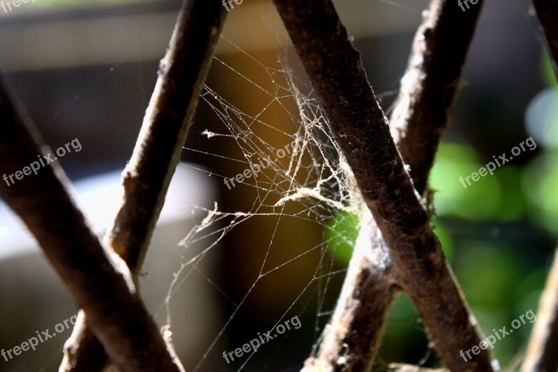 Spider Web Grey Dark Window Iron Rod