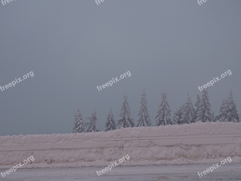 Winter Trees Wintry Snow Landscape Snowy