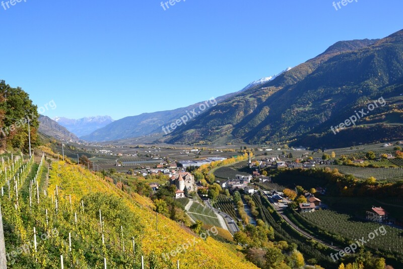 Autumn Tree Golden Autumn Mountain South Tyrol